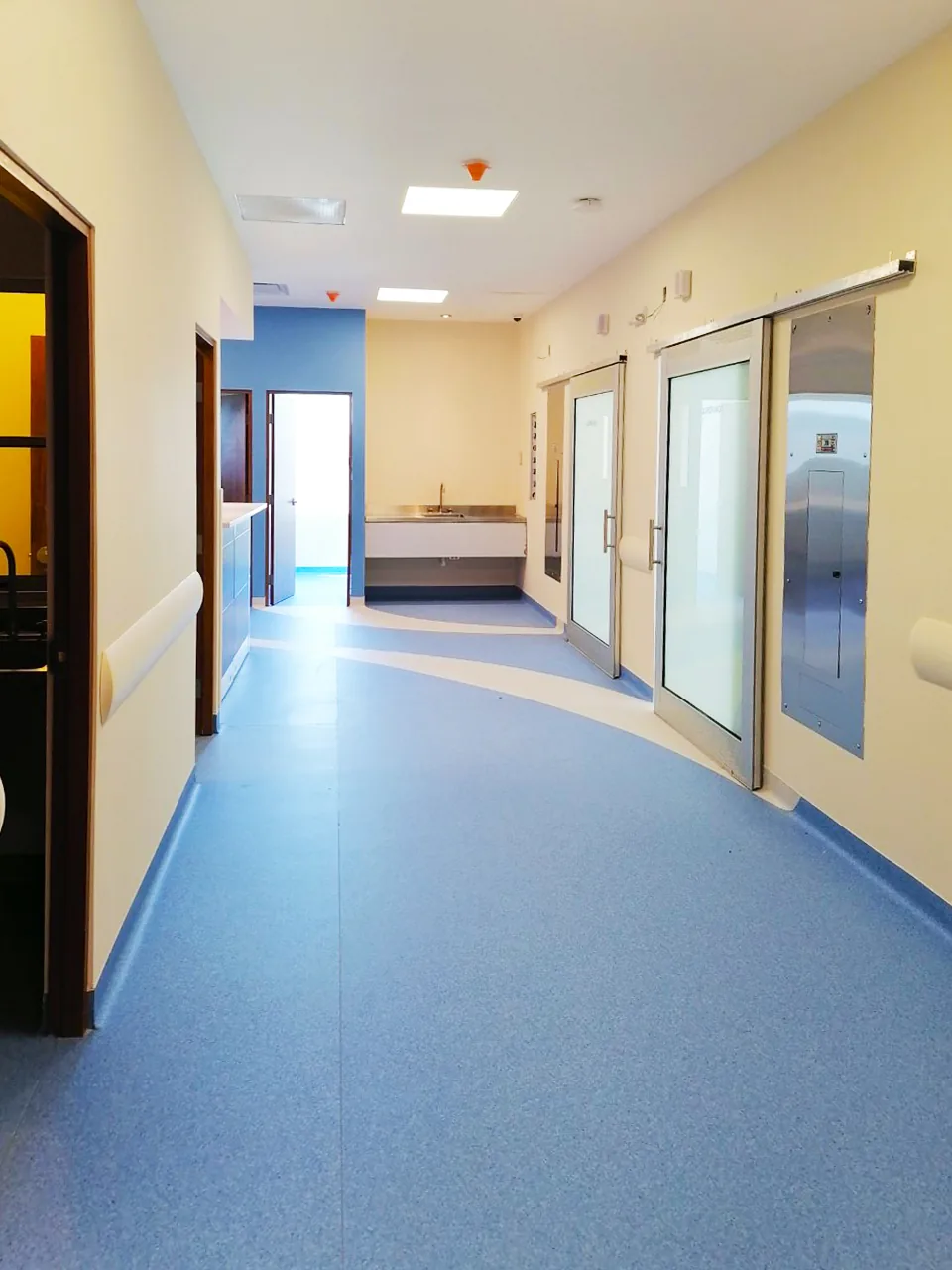 Hospitaria, Escobedo — imagen 22