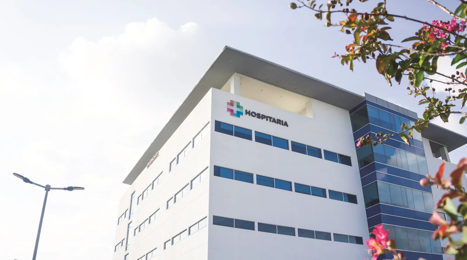 Hospitaria, Escobedo — imagen 4